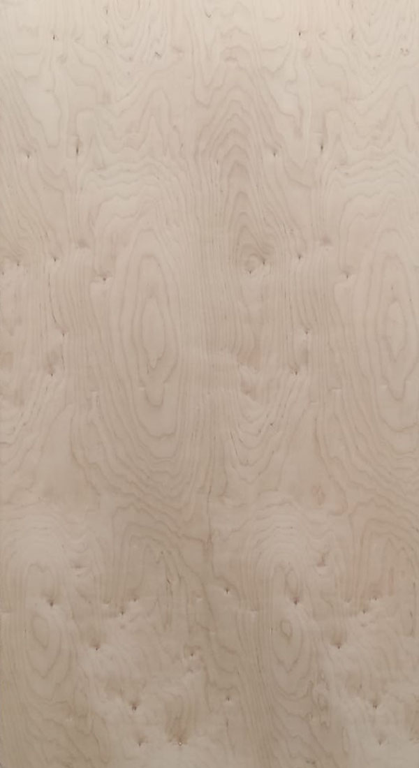 Abedul Ruso Importado,Russian Birch