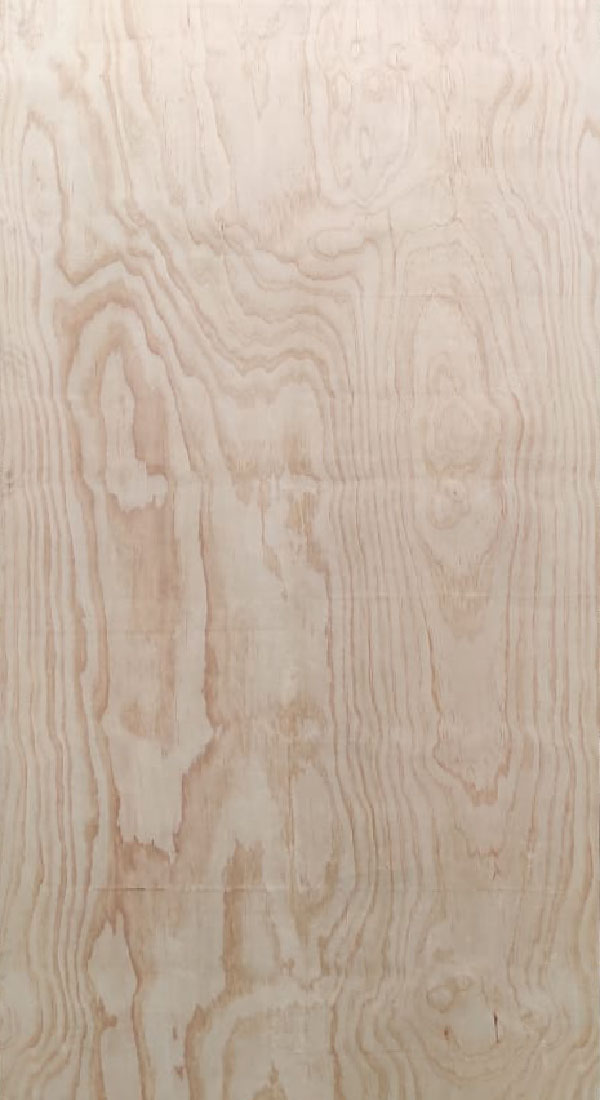 Pino Importado,Pine